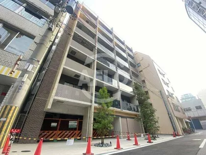 FELISTA HORIEの画像