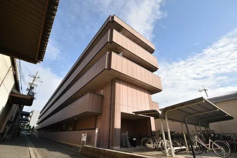 大阪府堺市中区毛穴町【マンション】の外観