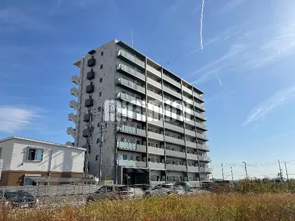 コントレイルりんくう常滑【4階】の外観