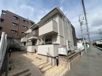 アルビコッコの画像