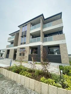 ポルチュラーカの画像