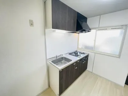 エスペランス桃山A棟【2階】のキッチン