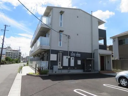 マルベリーの画像