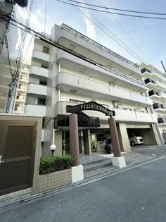 大阪府大阪市城東区成育2丁目【マンション】の外観