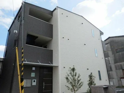 アンプルールフェール コンフォートの画像