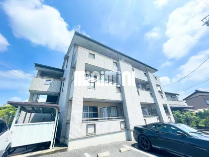 グレイスの画像