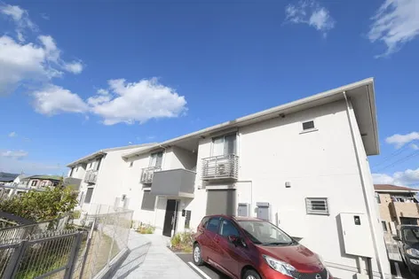 ドラセナの画像