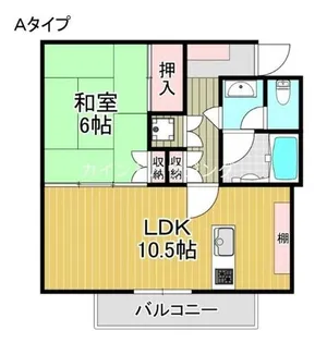 ウインズコート【2階】の間取り