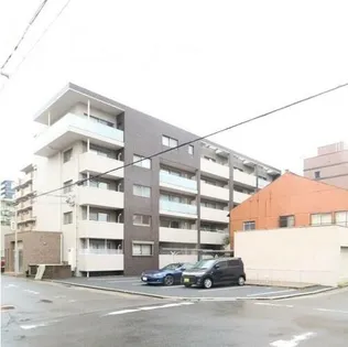 リリーローサの画像