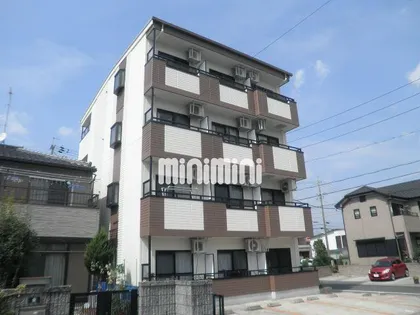 ヴィータSの画像