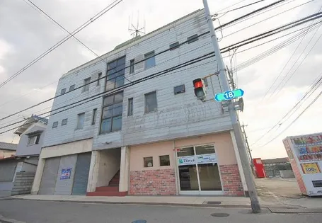 マナーステラの画像