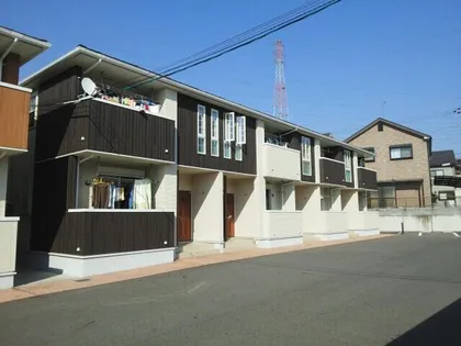 プラシード3の画像