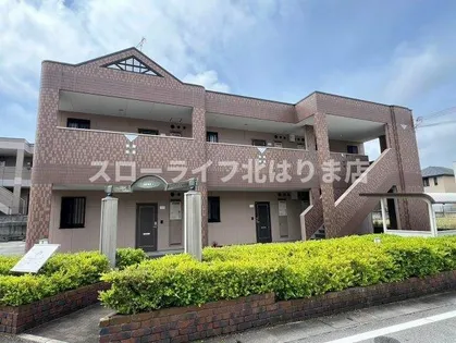 コンフォース アイの画像