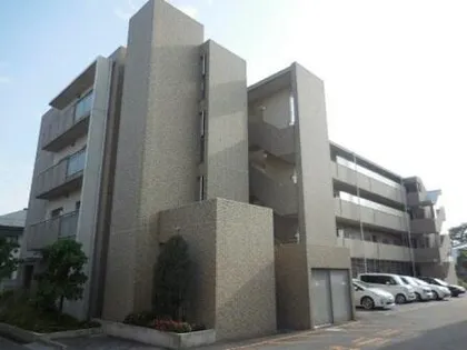 エスタブレの画像