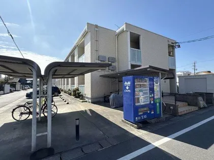 レオネクストモーニングローリーの画像