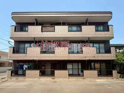 ビューカトレアの画像