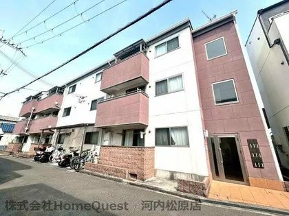 ホットファミリーの画像