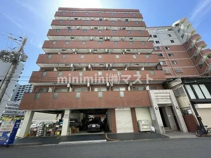 コート桜川の画像