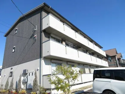 サクセスVの画像