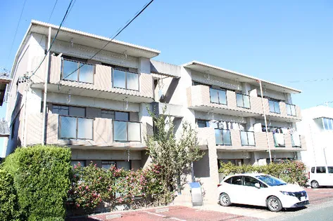 SOUTHERN TIARAの画像