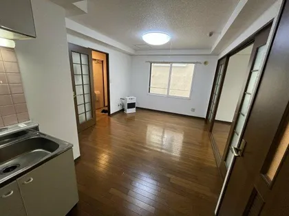 ドリームN3BLD【3階】の居間