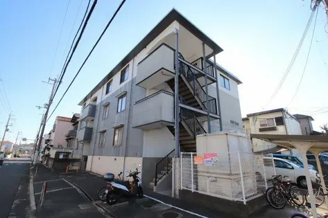 ネオグレイスの画像