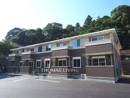 プレアデスIの画像