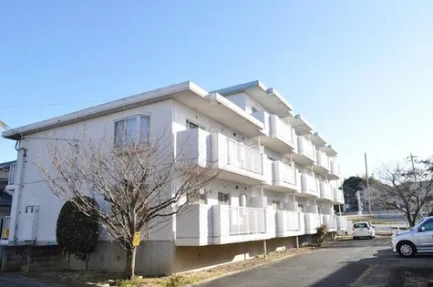 グリーンヒルズの画像