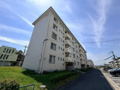 金剛第三住宅 215棟の画像