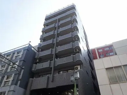 フィーブルサカエの画像