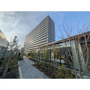 ヴェリテ金剛ルネクロスサイトの画像