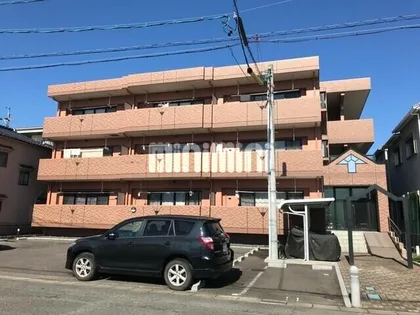 レンソイスの画像