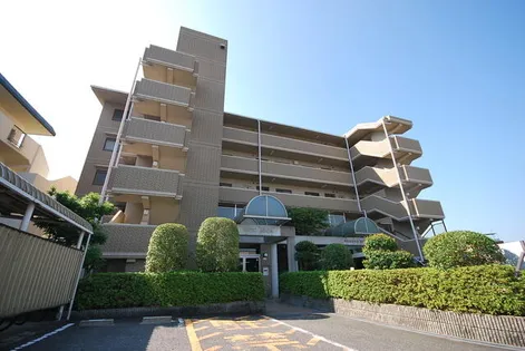 ASTIC ASADAの画像