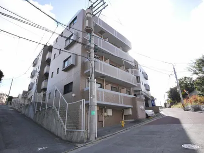 ロマネスク大橋第6【308号室】の外観