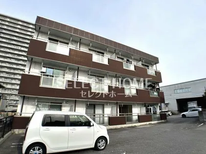 ピオンズ羽根の画像