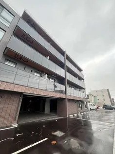 ZABO NOIR 11の画像