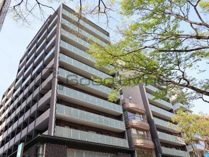 クラスけやき通りの画像