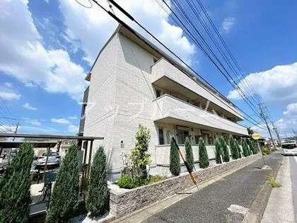 ルミエールの画像