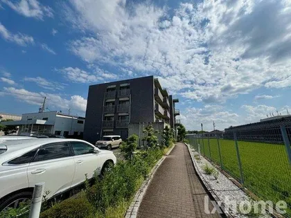 アニモ華の画像