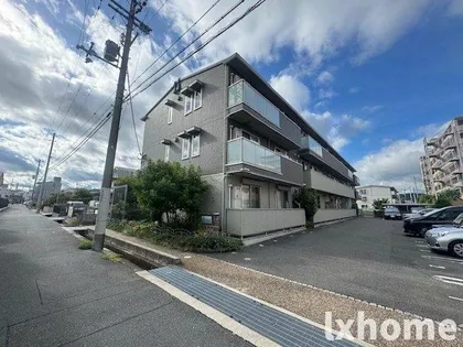 パインコートの画像