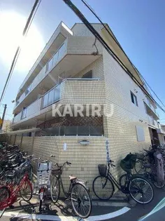 ジョイテルⅢの画像