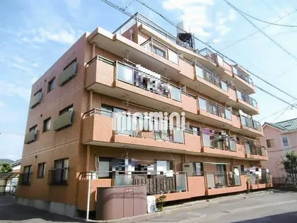 メゾン碧新【4階】の外観