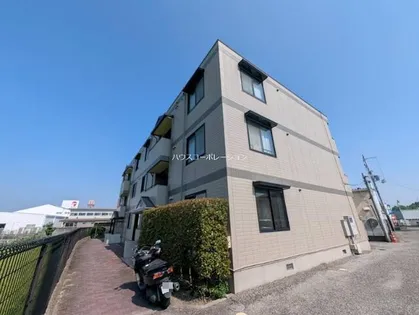 ビューラー藤木の画像