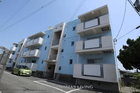 直方COMODOの画像