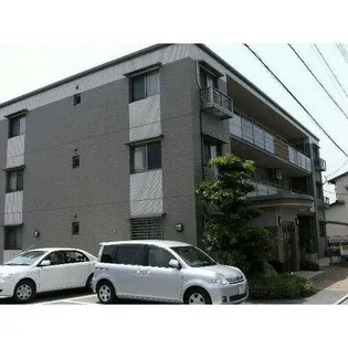 ステラ大城の画像