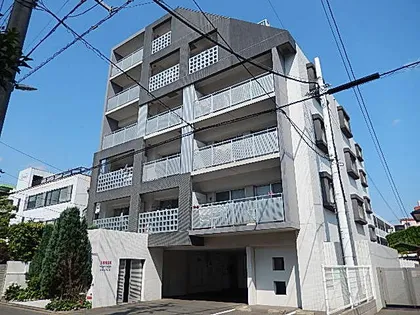 ピティアスムーンの画像