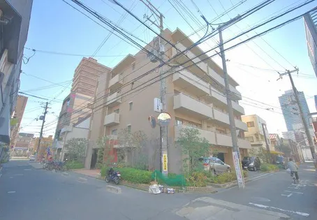 パレビバスの画像