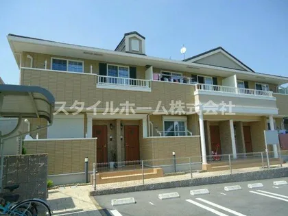 ローレルの画像