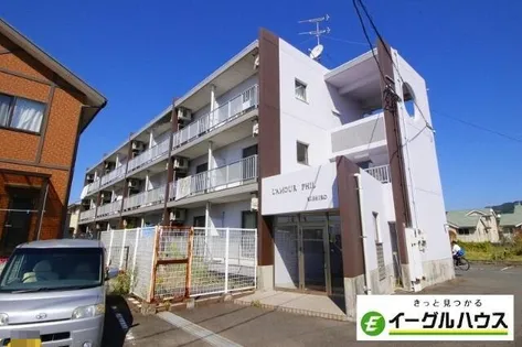 ラムールフィルキシロの画像