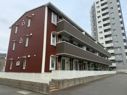 ヴァンベールハヤカワの画像